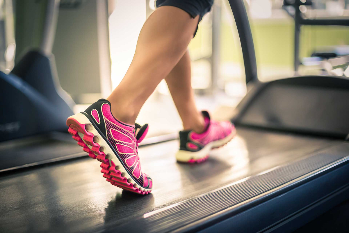 What Are The Necessary Equipments For Training